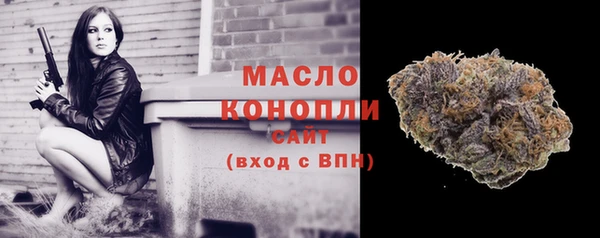сатива Лабытнанги