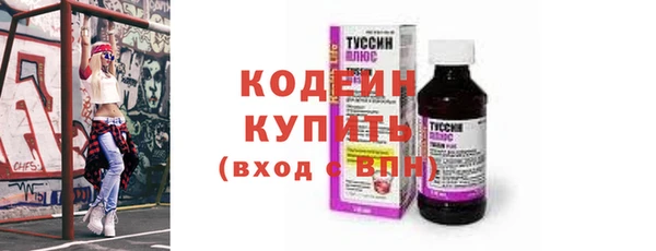 сатива Лабытнанги