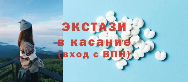 сатива Лабытнанги