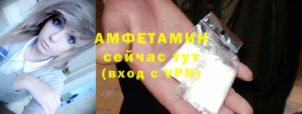 сатива Лабытнанги