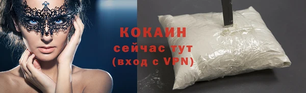 сатива Лабытнанги