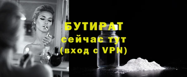 сатива Лабытнанги