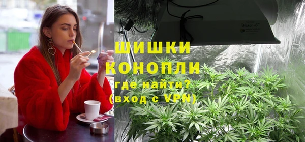 сатива Лабытнанги