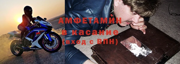 сатива Лабытнанги