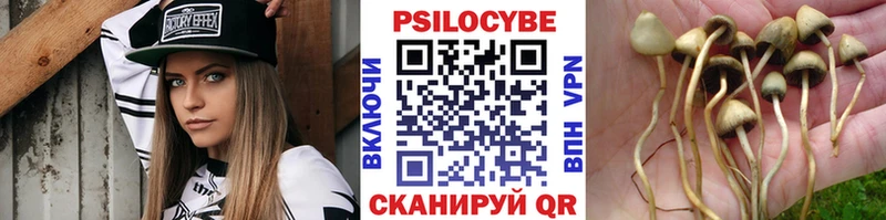 где можно купить   Красково  Псилоцибиновые грибы ЛСД 